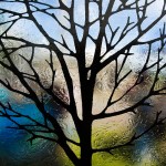 Stained Glass by David Houser
