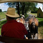 Horse-Drawn Wagon tours