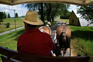 Horse-Drawn Wagon tours Horse-Drawn Wagon tours